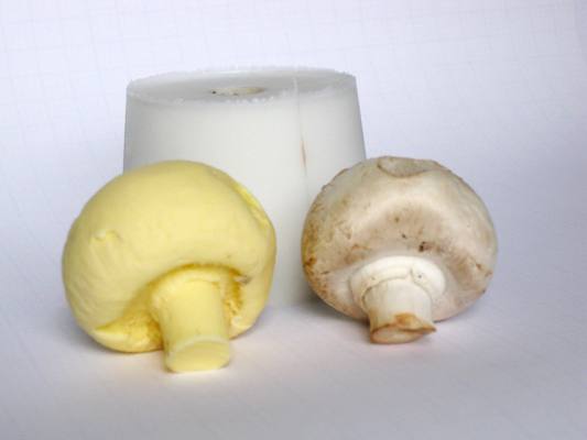 Champignon1