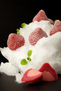 Winteraardbeien-sneeuw